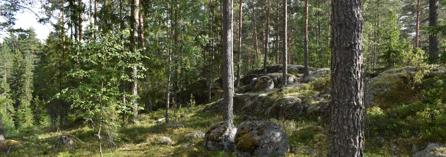 Karjalan Liiton suunnistusmestaruuskilpailut 2021