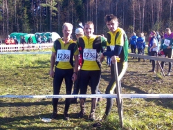 Kuvassa Sakke, Joppana ja Luikki